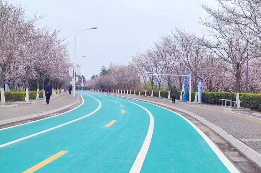 江苏南通啬园(国家4A级)景点介绍1