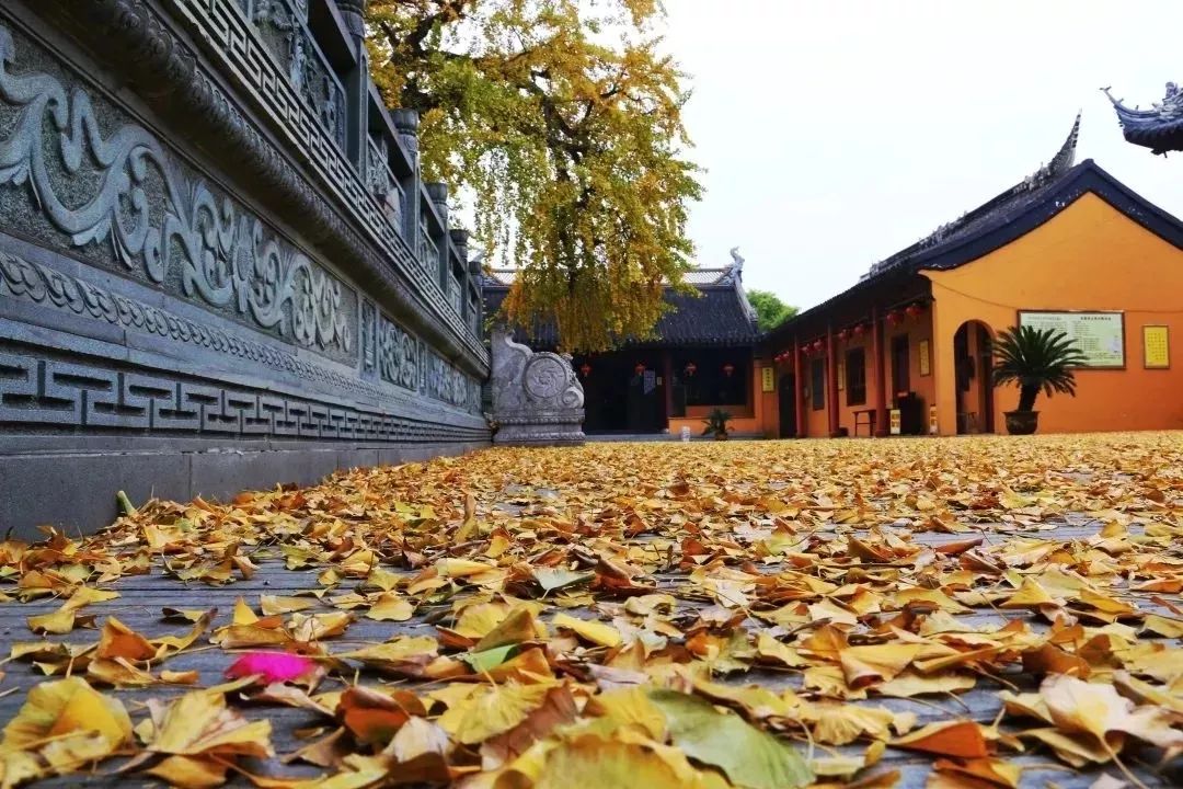 江苏苏州双杏寺景点介绍2