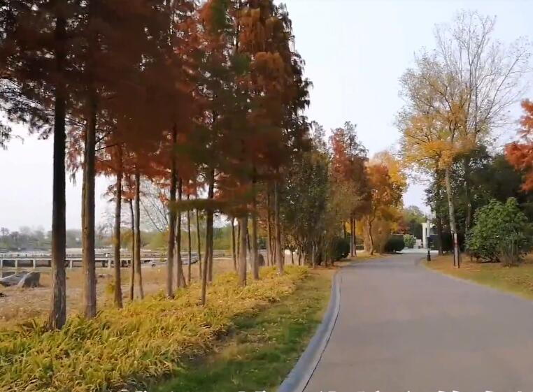 江苏南京朱门农家景点介绍1