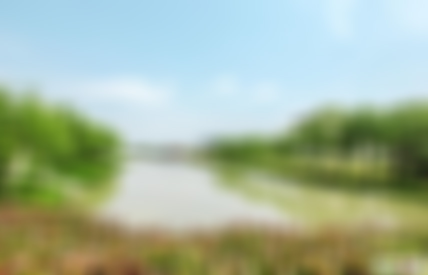 江苏盐城西溪植物园景点介绍1