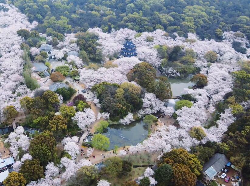 江苏无锡太湖鼋头渚景区(国家5A级)景点介绍1