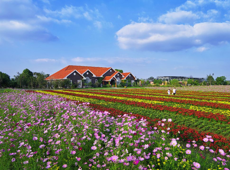 江苏连云港二郎神文化遗迹公园(国家4A级)景点介绍1