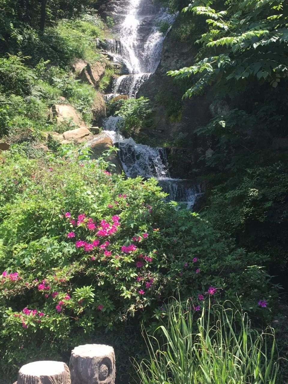 江苏扬州茱萸湾风景区(国家4A级)景点介绍1