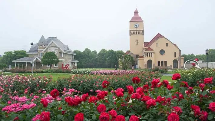 江苏南通七星湖生态园景点介绍1