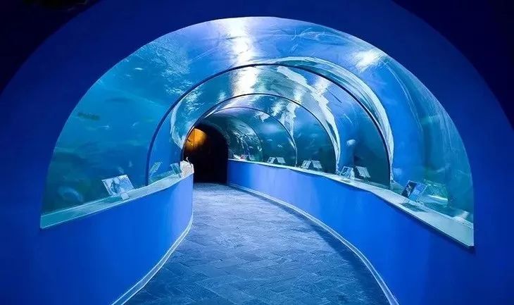 江苏苏州苏州海洋馆景点介绍2