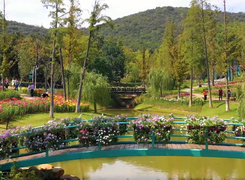 江苏常州花谷奇缘旅游度假区景点介绍1