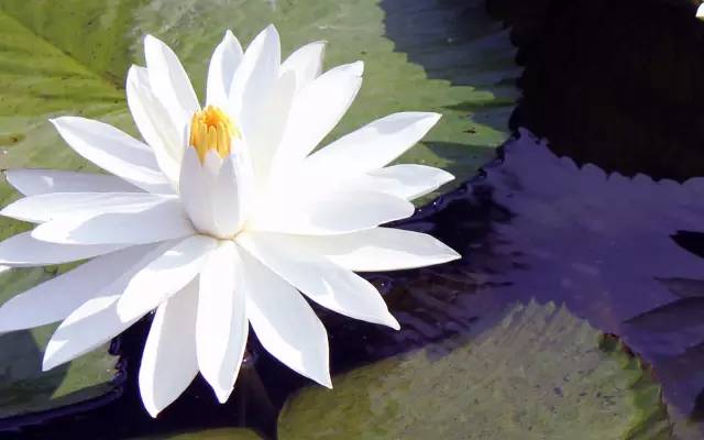 江苏苏州虎丘生公讲台景点介绍2