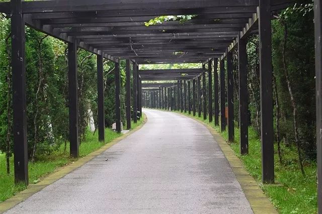 江苏苏州旺山九龙潭景点介绍2