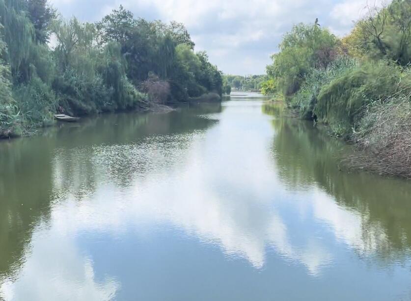 江苏扬州邵伯湖景区景点介绍1