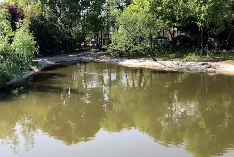 江苏苏州千灯古镇鳄鱼谷景点介绍1