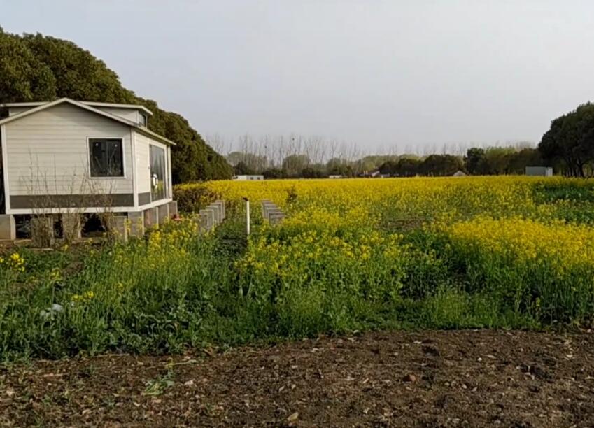 江苏苏州虞山城墙景区景点介绍1