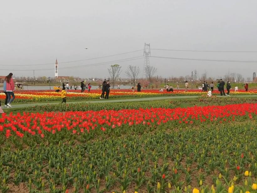 江苏南京秣陵杏花村景点介绍1