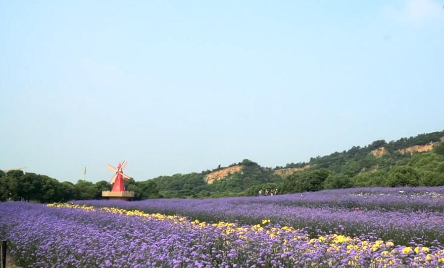 江苏无锡雪浪山景区(国家3A级)景点介绍1