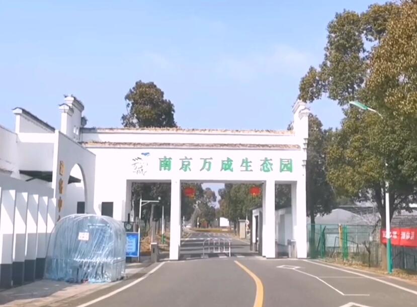 江苏南京万成生态园景点介绍1