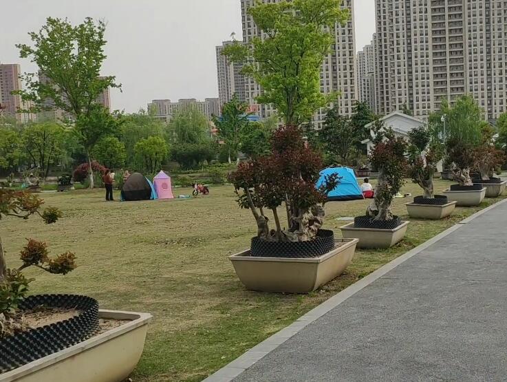 江苏无锡西漳文化公园景点介绍1