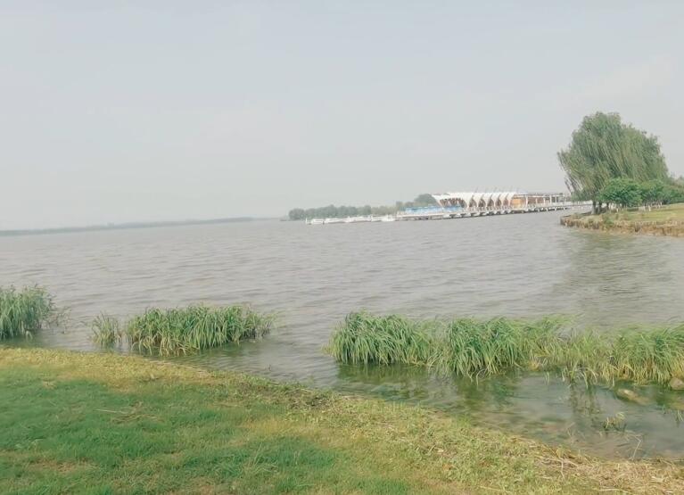 江苏南京南京玫瑰园景点介绍1