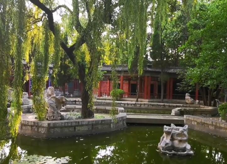 江苏南通龙游湖生态公园景点介绍1