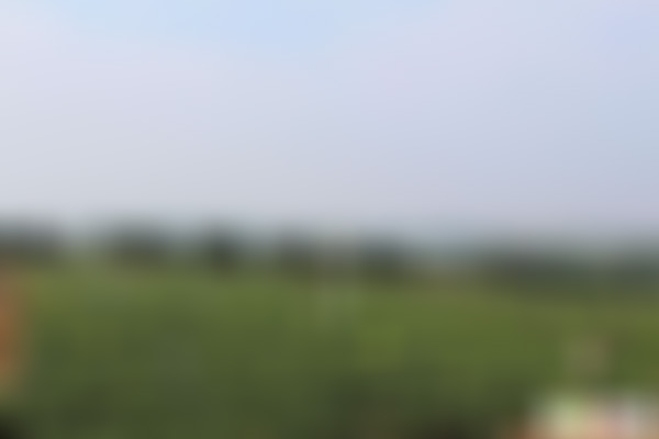 江苏连云港潮河湾景区(国家3A级)景点介绍1