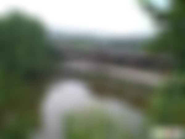 山东临沂雪山梅园百梅图石刻长廊景点介绍1