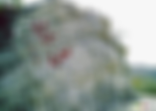 山东威海圣经山聚仙台景点介绍1