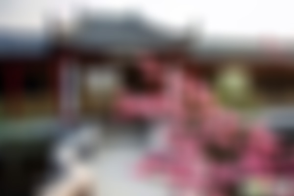 山东临沂雪山梅园踏雪桥景点介绍1