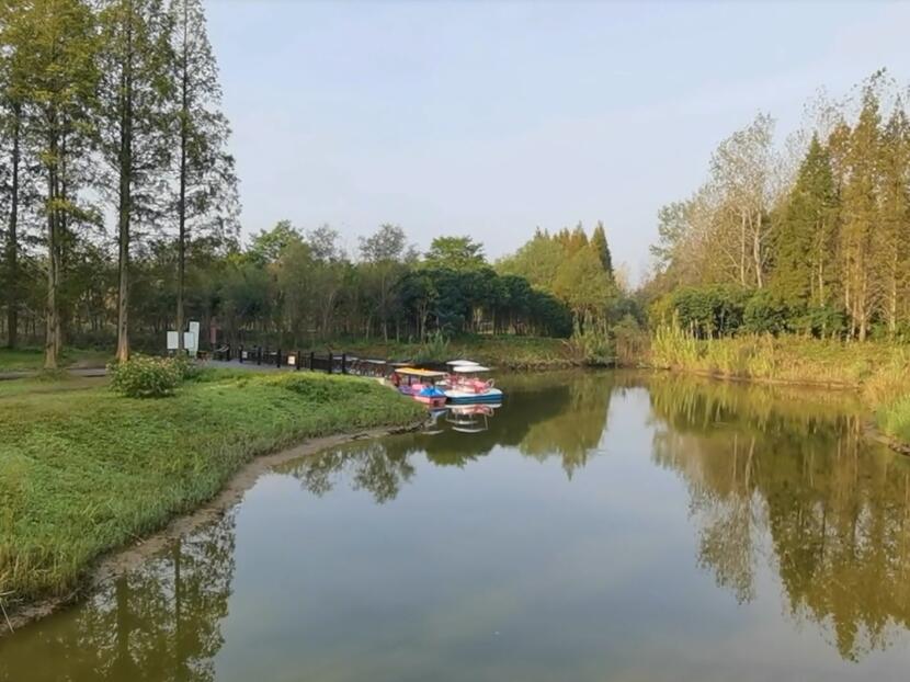 江苏盐城黄海森林公园(国家4A级)景点介绍1