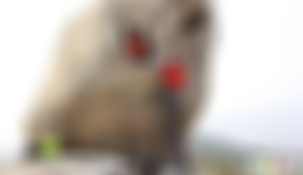 山东烟台昆嵛山飞来石景点介绍1