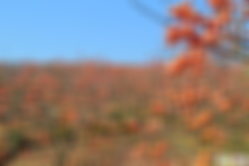 山东青岛琅琊文化陈列馆景点介绍1