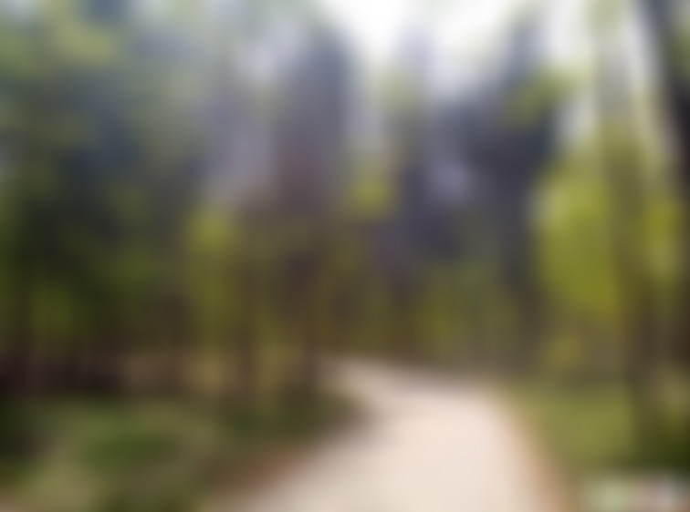 山东德州槐林狩猎场景点介绍1