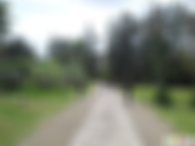 山东德州杏坞园景点介绍1