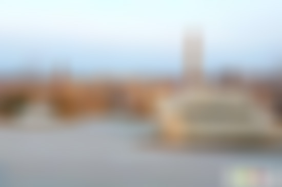 山东烟台张和国际化石林景点介绍1