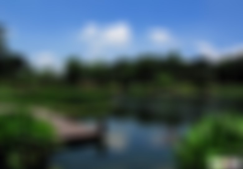 山东泰安泰山五岳独尊石群景点介绍1