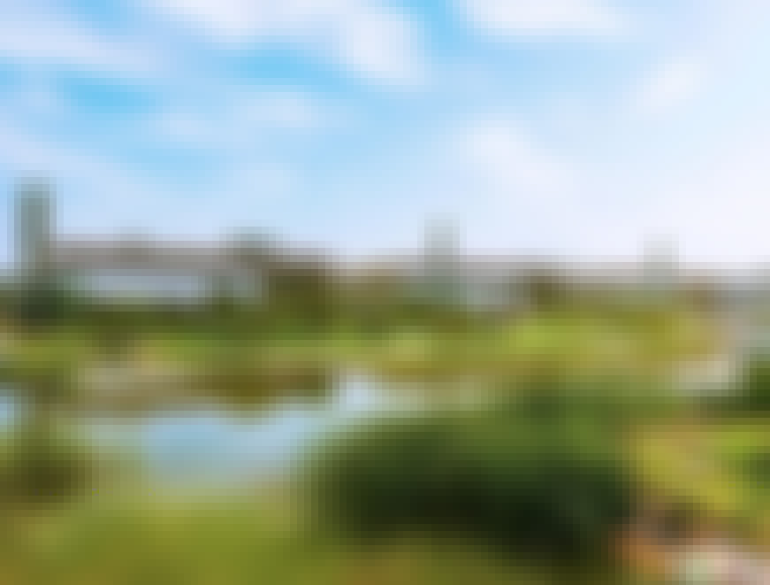 山东聊城阿胶生物科技园景点介绍1