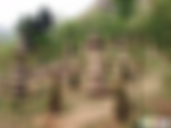 山东青岛大珠山塔林景点介绍1