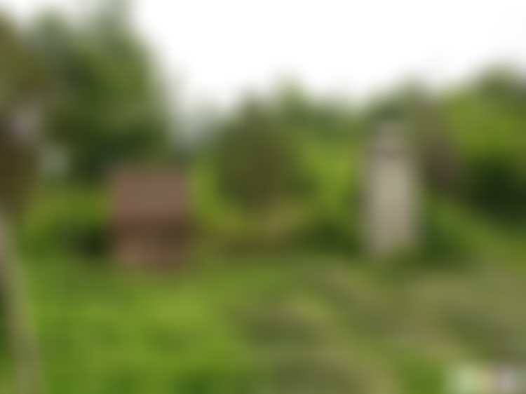 山东临沂孝妇祠景点介绍1