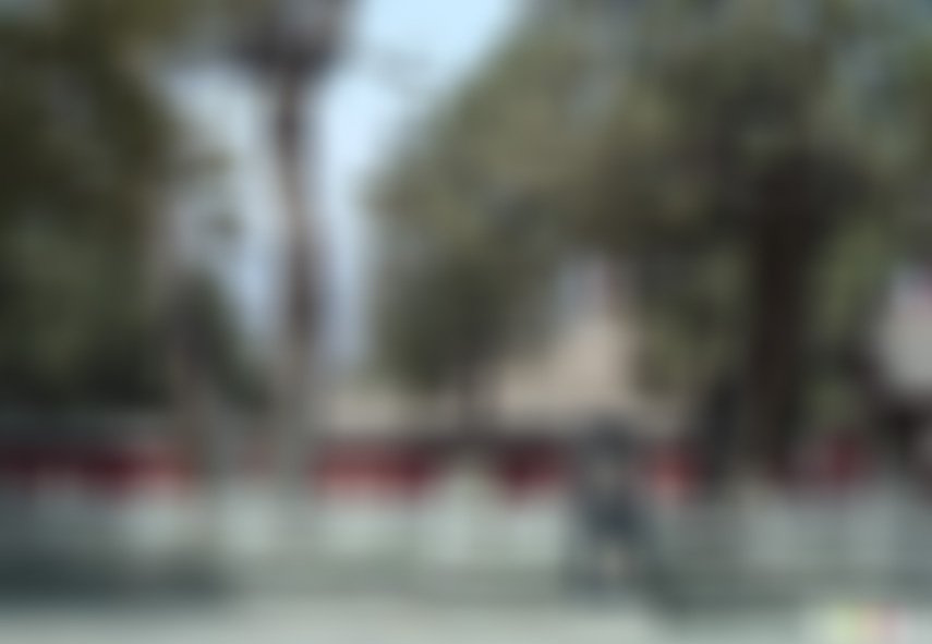 山东泰安岱庙汉柏院景点介绍1