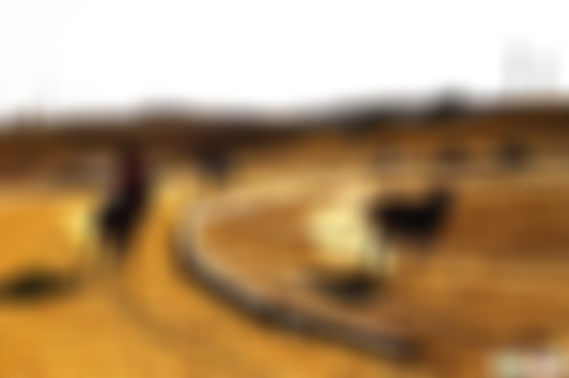 山东济宁羊山马术俱乐部景点介绍1