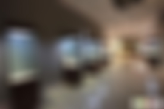 山东济宁天成教育博物馆景点介绍1