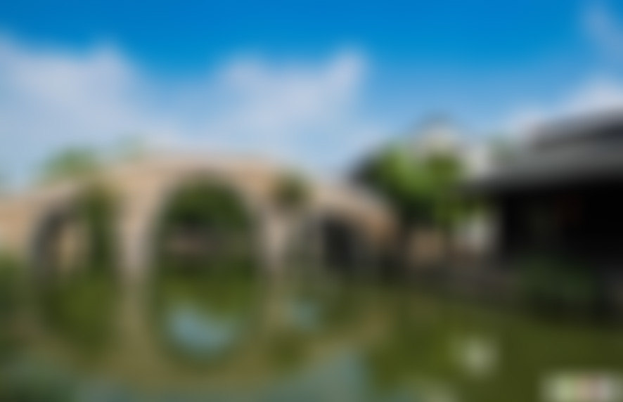 山东枣庄台儿庄古城龟汪景点介绍1