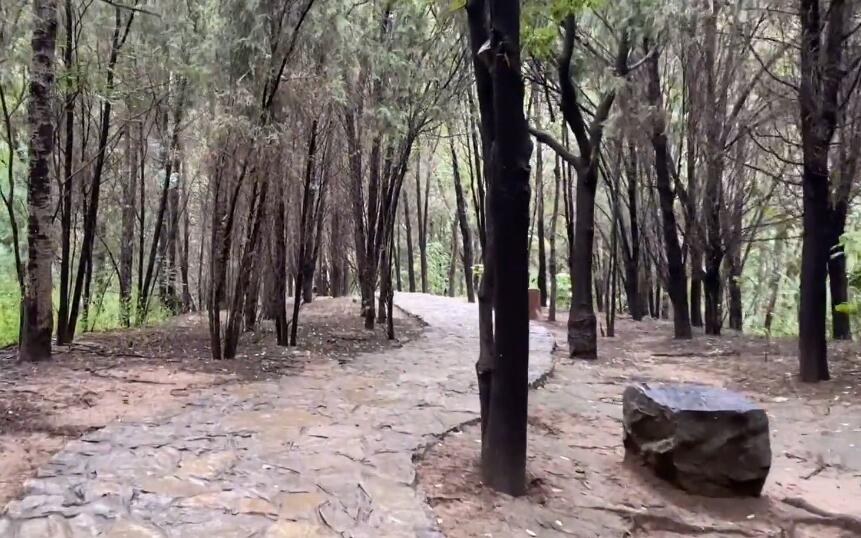 山东淄博云明山石板街景点介绍1