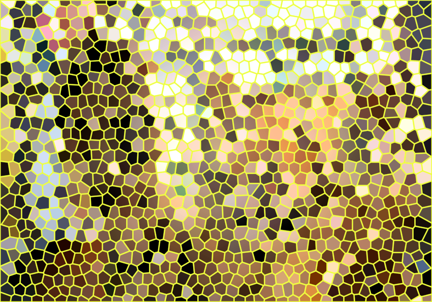 山东济南济南动物园狮虎乐园景点介绍1