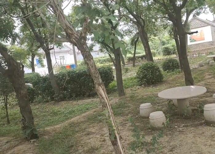 山东淄博齐国文字博物馆景点介绍1