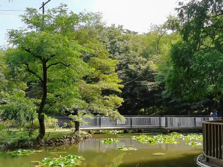 山东青岛藏马山万龙滑雪场景点介绍1