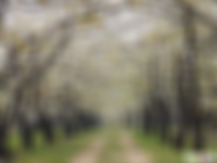 山东临沂苍马山儿童乐园景点介绍1