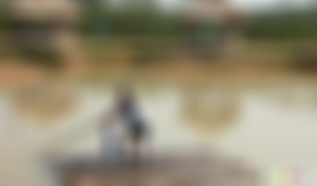 山东聊城天乐庄园景点介绍1