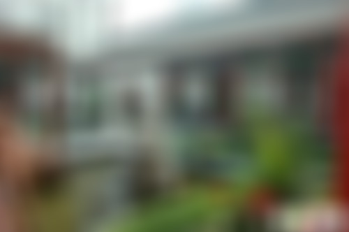 山东济宁济河植物园景点介绍1