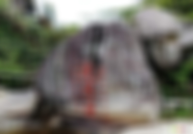 山东日照九仙山洗耳泉峡谷景点介绍1