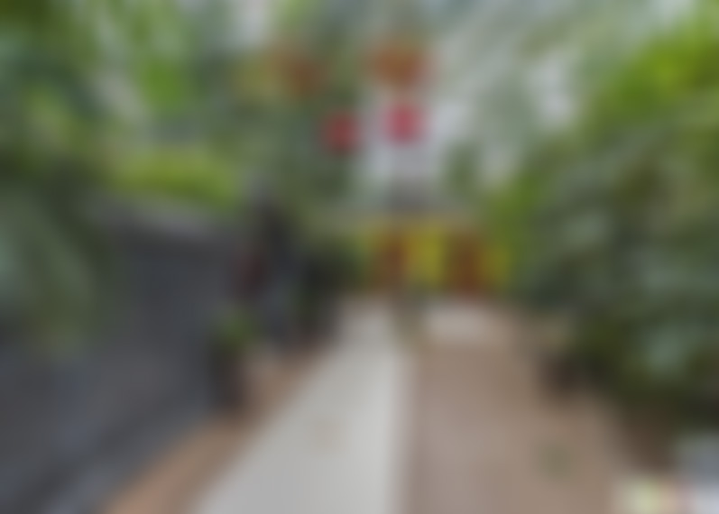 山东烟台锦源春生态园景点介绍1