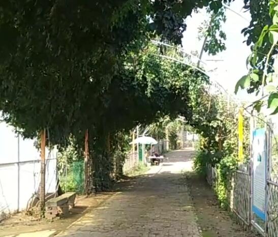 山东淄博牛记庵孙家大院景点介绍1