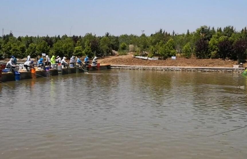 山东聊城成无己纪念馆景点介绍1